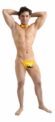 Tanga León 🦁 Francisco Modelo TA03 ¡Atrevida Elegancia! 🩲✨